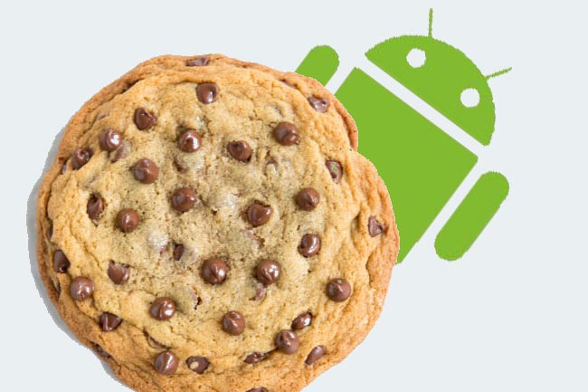 habilitar cookies en android