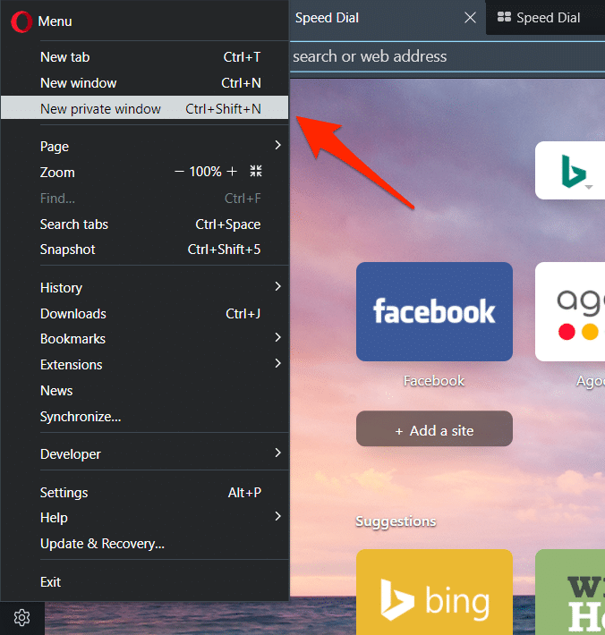 Abrir nueva ventana privada en el navegador Opera